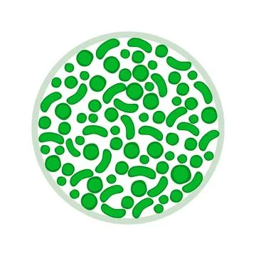 Green bacteria or germs icon isolated on white background. Stockillustratie