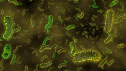Green bacterial CG animation Stock Footage 83434097