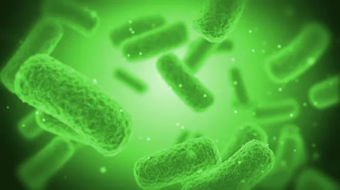 Green Bacteries X-Ray Stock Footage 49326042
