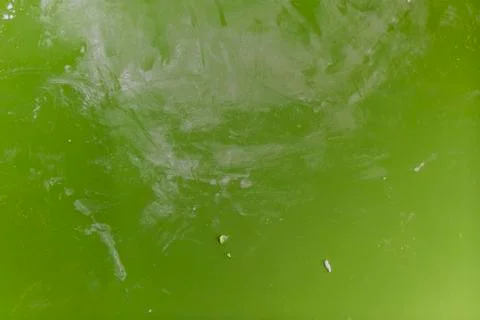 Green Baking Mat Stock Photos