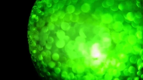 Green Ball of Orbs Motion Background Stock Footage 70360405