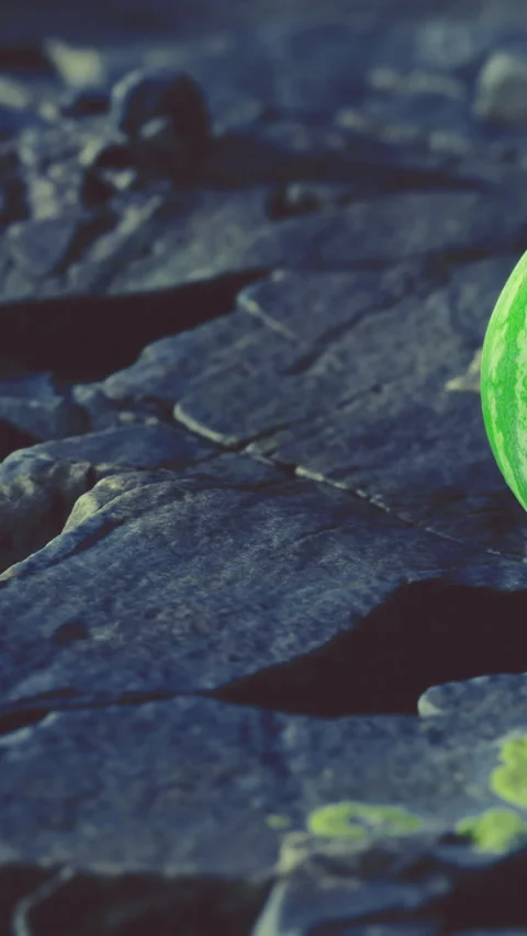 Green ball rests on rocky surface near water during daytime Stock Footage 334183352