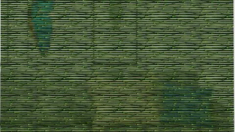 Green Bamboo 2F7E91D2 Stock Photos