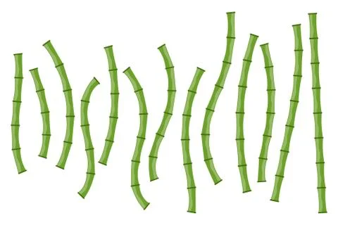 Green bamboo branches isolated. Vector illustration. Illustrazione stock