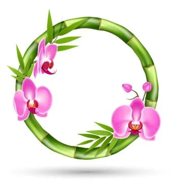 Green Bamboo Circle Frame with Pink Orchid Flowers Isolated on W Stock Illustration