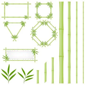 Green Bamboo Design Elements Set with Frames Stems and Fresh Leaves Flat Stockillustratie