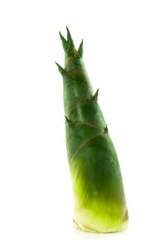 Green bamboo shoot Stock Photos