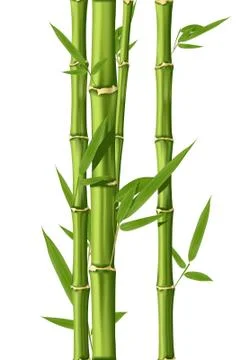Green bamboo stems Stock Illustration