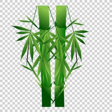 Green bamboo tree illustration Stock Illustration