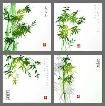 Green bamboo trees on white background. Illustrazione stock