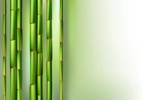 Green bamboo trunks background realistic vector illustration Stock Illustration