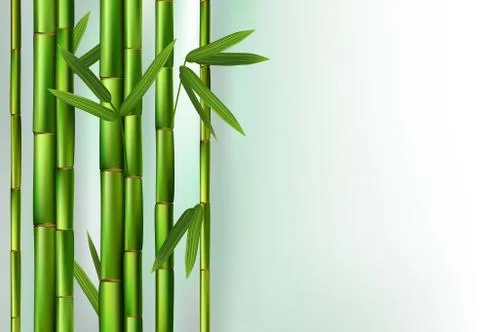 Green bamboo trunks background realistic vector illustration Stock Illustration