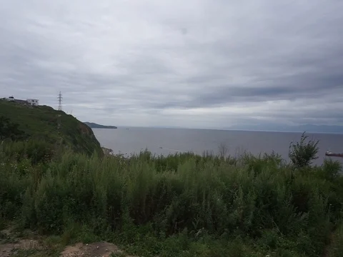 Green bank Vídeo Stock 87698582