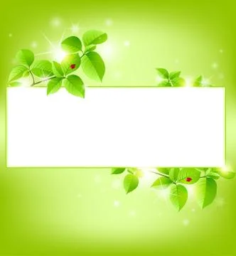 Green banner Stock Illustration