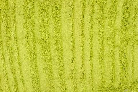 Green barley background Stock Photos