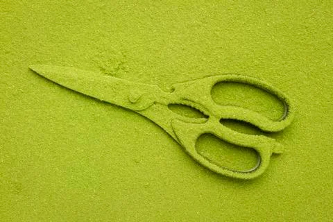 Green barley background Stock Photos