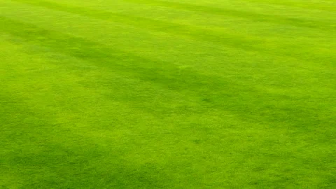 Green baseball field with fresh grass and a player's shadow. Minimal outdoor Stock Footage 337106847