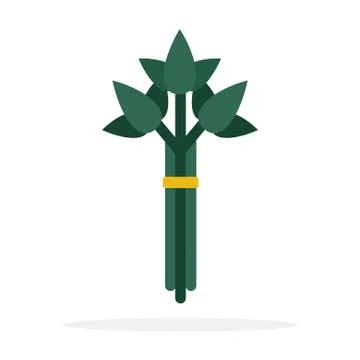 Green Basil beam vector flat material design isolated object on white background Stock Illustration