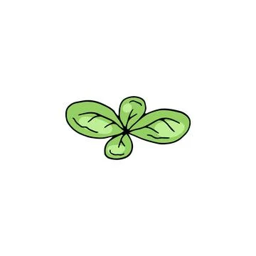 Green basil leaf in sketch vector illustration isolated on white background. Stock Illustration