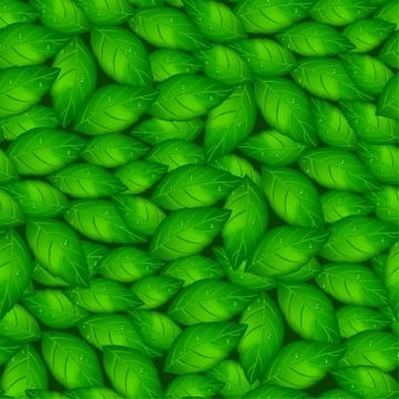 Green basil leaves in a seamless pattern Stock Illustration
