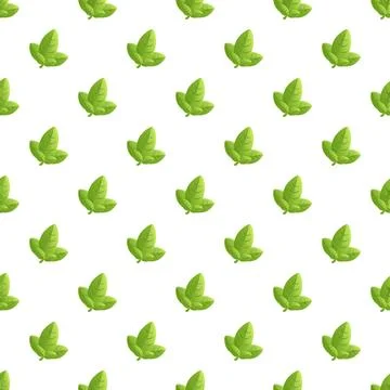 Green basil leaves seamless vector pattern on white Illustrazione stock