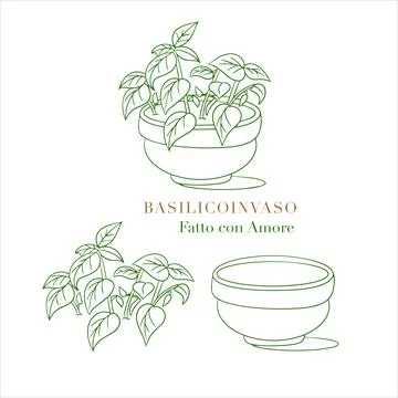 Green basil plant in ceramic pot vector outline illustration set. Line art Stock Illustration
