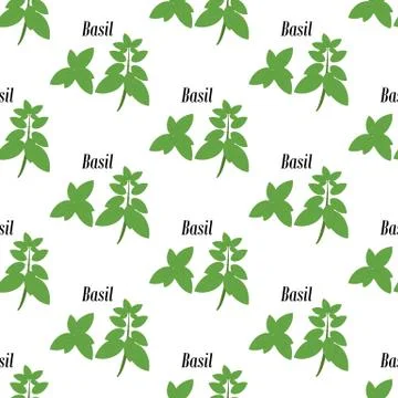 Green basil seamless pattern 스톡 일러스트