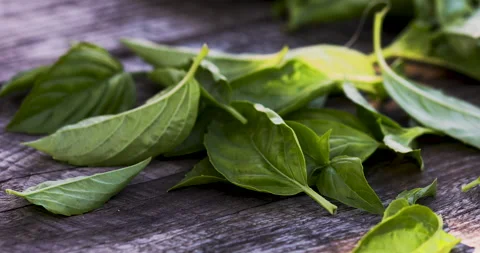 Green basilic leaves falling down on aged wooden table Stock Footage 139162157
