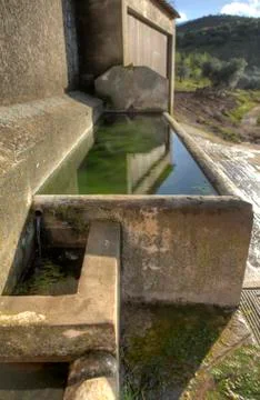 Green basin Stock Photos