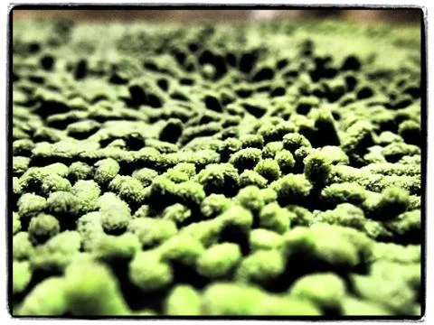 Green bath mat texture 库存照片
