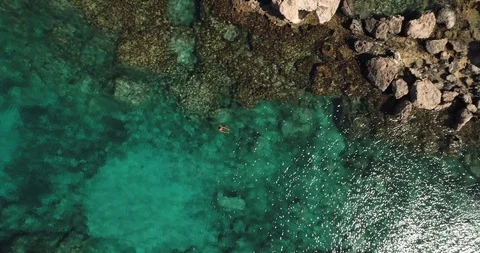 Green bay protaras 4 Stock Footage 100797312