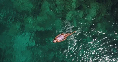 Green bay protaras 7 Stock Footage 100815886