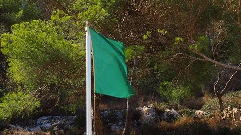 Green Beach Flag In Wind Stock-Footage 97825242