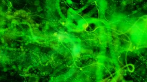 Green beads loopable motion background Stock Footage 496387