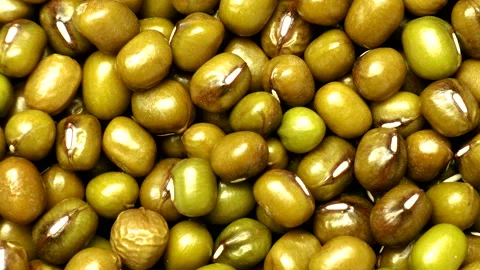 Green bean or mung bean, Dolly shot or move camera Stock-Footage 135370867