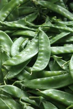 Green bean Stock Photos