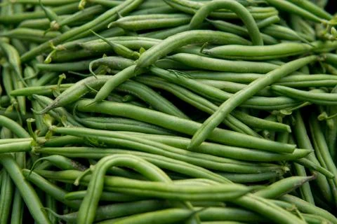 Green bean Stock Photos