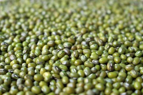 Green bean seed background Stock Photos