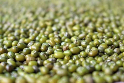 Green bean seed background Stock Photos
