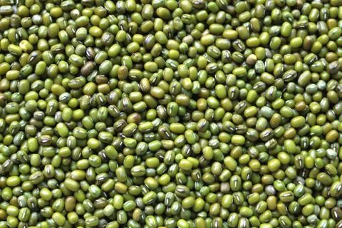 Green bean seed background Foto stock