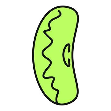 Green bean seed with outline doodle drawing style Stock Illustration