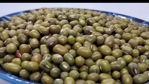 Green bean seeds Stock Footage 281503534
