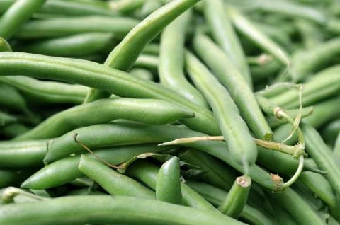 Green Beans 1 Stock Photos