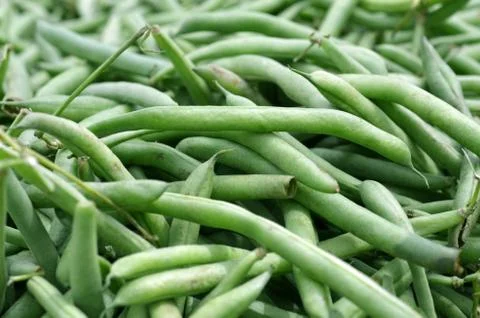 Green Beans 3 Stock Photos