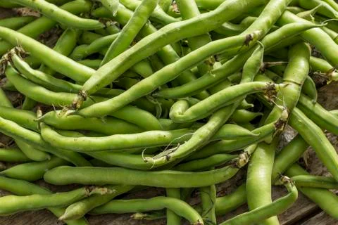 Green beans background Stock Photos