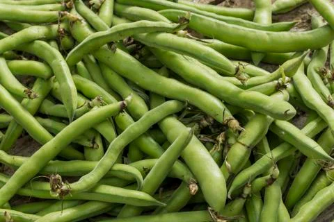 Green beans background Stock Photos
