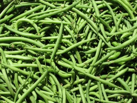 Green beans background Stock-Fotos