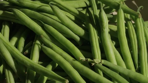 Green beans background rotating macro. Healthy food Stock Footage 285930909