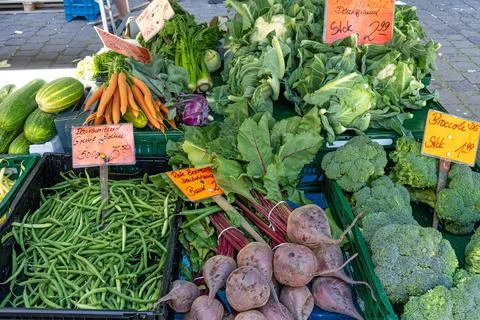 Green beans, beetroot, broccoli and other vegetables Stock Photos