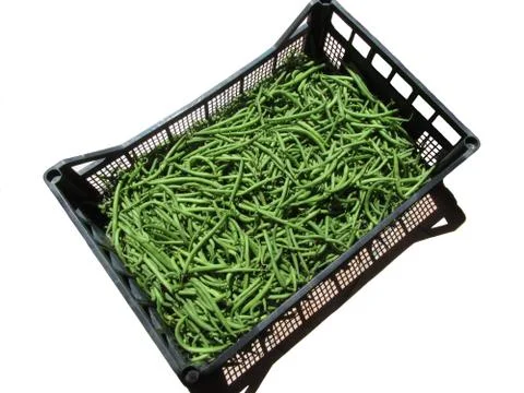 Green beans in box on white background Stock Photos